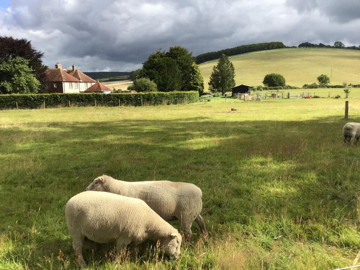 Charlton End - Goodwood Events Bed & Breakfast Chichester Dış mekan fotoğraf
